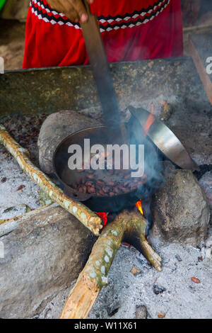 Griller les fèves de cacao, cacao, bio Oreba Oeste Arriba Rivière, Groupe ethnique Ngabe, province de Bocas del Toro, PANAMA, Amérique Centrale, Amérique Latine Banque D'Images