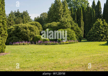La ville de Riga, Lettonie nature Jardin botanique de paysages. 2019. Banque D'Images