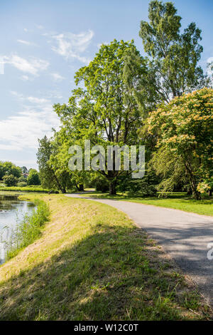 La ville de Riga, Lettonie nature Jardin botanique de paysages. 2019. Banque D'Images