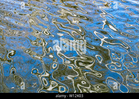 Réflexions de la forêt dans un étang, le printemps, l'Est des États-Unis, par Dominique Braud/Dembinsky Assoc Photo Banque D'Images