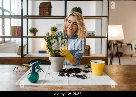 Jeune femme change le sol des plantes accueil Banque D'Images