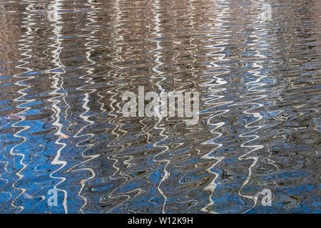 Réflexions de la forêt dans un étang, le printemps, l'Est des États-Unis, par Dominique Braud/Dembinsky Assoc Photo Banque D'Images