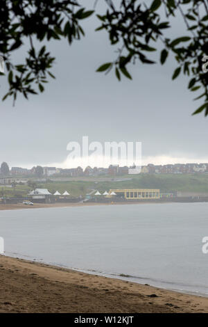 Les trames du feuillage des arbres d'une vue sur la plage de sable de Barry Island qui est vide, mais pour un lointain lifeguard van, au cours d'une douche lourde. Banque D'Images