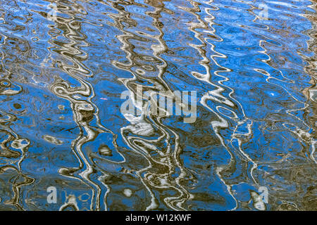 Réflexions de la forêt dans un étang, le printemps, l'Est des États-Unis, par Dominique Braud/Dembinsky Assoc Photo Banque D'Images