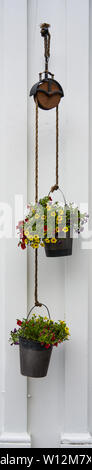 Ruban vertical bordure de fleurs jaunes et rouges dans des pots suspendus à partir de la corde sur une poulie en face de bois peint en blanc Banque D'Images