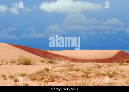 Paysage panoramique de la belle Coral Pink Sand Dunes State Park dans le sud-ouest, Utah, USA Banque D'Images