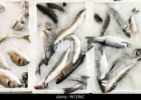 Close-up of fresh poisson refroidi sur la glace pour la vente au marché. Banque D'Images