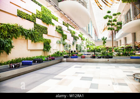 Singapour, Singapour - Mars 2019 : une assurance d'arriver chez les plantes vertes luxuriantes à l'aéroport de Changi. L'aéroport Changi de Singapour, est le principal airpo civil Banque D'Images