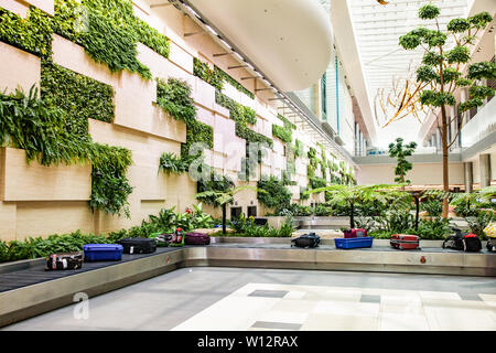 Singapour, Singapour - Mars 2019 : une assurance d'arriver chez les plantes vertes luxuriantes à l'aéroport de Changi. L'aéroport Changi de Singapour, est le principal airpo civil Banque D'Images