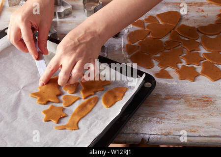 Woman's hands placez ginger cookies sur la plaque de cuisson Banque D'Images