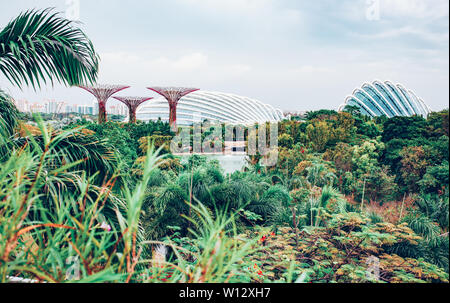 Singapour, Singapour - Mars 2019 : Supertrees dans des jardins par le bay, Singapour Banque D'Images