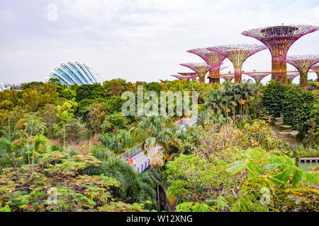 Singapour, Singapour - Mars 2019 : Supertrees dans des jardins par le bay, Singapour Banque D'Images