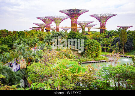 Singapour, Singapour - Mars 2019 : Supertrees dans des jardins par le bay, Singapour Banque D'Images