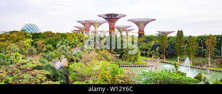 Singapour, Singapour - Mars 2019 : Supertrees dans des jardins par le bay, Singapour Banque D'Images