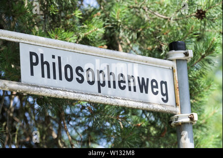 Kronberg im Taunus, Allemagne. 25 Juin, 2019. Un panneau avec l'inscription 'Philosophenweg' se tient sur le terrain de l'Opel Zoo. La route accessible au public est d'être fermé aux étrangers à partir de l'année prochaine. Credit : Silas Stein/dpa/Alamy Live News Banque D'Images