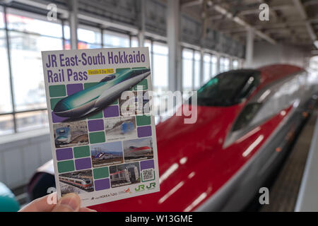 JR Hokkaido Est-sud Rail Pass. Six jours flexibles pour le sud de l'Hokkaido et zones de Tohoku et du Kanto trajets illimités sur des lignes JR limited express Banque D'Images