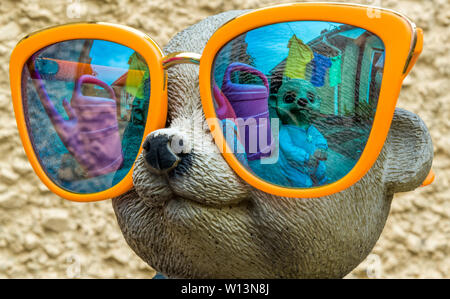Les suricates fou en verres miroirs photo prise dans ma cour. Banque D'Images