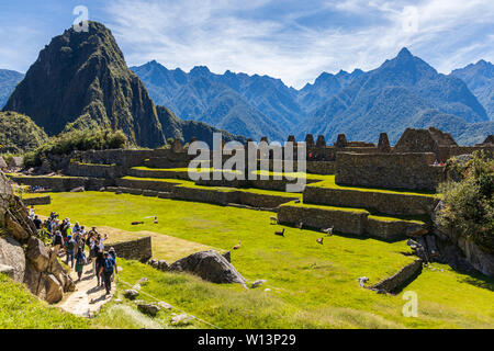 Machu Picchu, Urubamba, région de Cuzco, Pérou, Amérique du Sud Banque D'Images