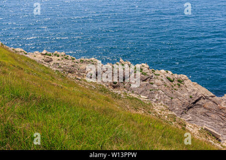 Forêt fossile caractéristique naturelle près de lulworth Cove, à Dorset, Angleterre, RU Banque D'Images