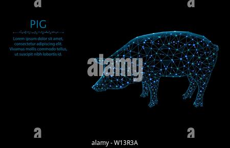 Basse design poly cochon, animal en style polygonal, symbole de l'année 2019 vector illustration sur fond noir Illustration de Vecteur