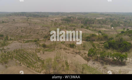 Les terres agricoles dans les zones rurales avec les exploitations agricoles, les champs avec des cultures, des arbres dans les zones arides vallonnées. Vue aérienne des cultures en Asie dans les zones montagneuses de l'Indonésie. Banque D'Images