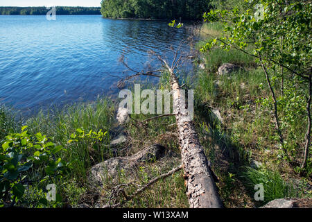 Le lac en Malonsaari, Imatra en Finlande Banque D'Images