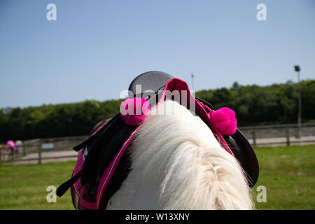 Fawkham Kent. Samedi 29 juin 2019, Ride for Life en vitesse gate livery. Pompons rose riders sur une selle à l'événement de bienfaisance. Banque D'Images