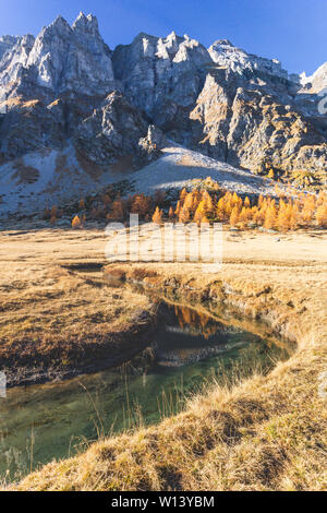 Le début de la vallée ; Buscagna Alpe Devero, Valle Antigorio, Piémont, Italie Banque D'Images
