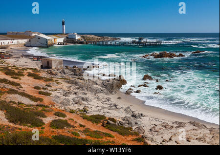 Phare, Doringbaai, province de Western Cape, Afrique du Sud, l'Afrique Banque D'Images