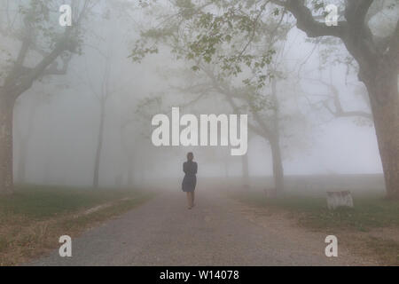 Une femme seule se promène dans une allée d'arbres dans un épais brouillard Banque D'Images