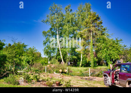 Un arbre attaché par corde pour voiture rouge à Sächsischer Hof en bonne place dans la forêt tout en étant coupé à la tronçonneuse par woodcutter Banque D'Images