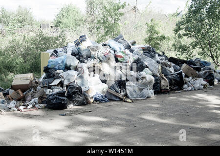 Décharge illégale près de la route de sable de pays dans le pays le jour de soleil. Corbeille de la pollution dans la nature. Dirty dépotoir près de bois de la forêt. Le noir et blanc Banque D'Images