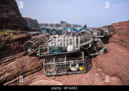 Des casiers à homard par le port, Seacliff Beach, North Berwick, East Lothian, Scotland Banque D'Images