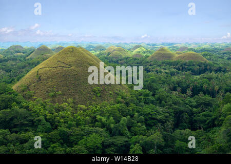 Collines de chocolat de Bohol, plus célèbre attraction touristique, Philippines Banque D'Images