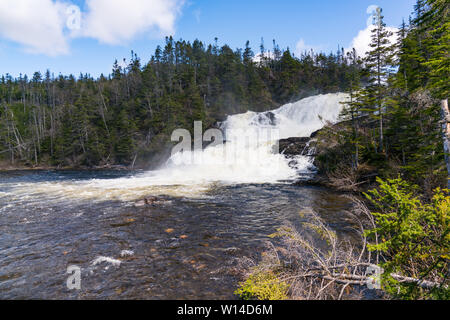 Bakers Brook Cascade dans le parc national du Gros-Morne à Terre-Neuve, Canada Banque D'Images