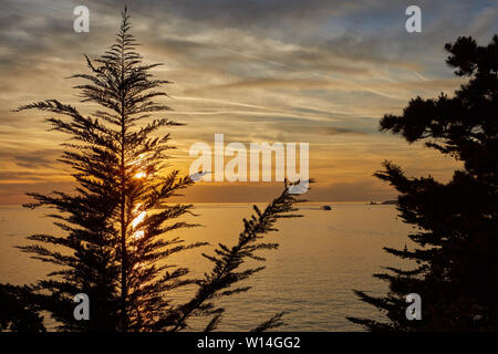 Imge du coucher du soleil à Saint Malo, avec des arbres d'ossature. Banque D'Images