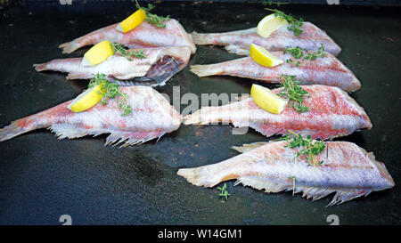 Poissons l'alimentation de rue sur le gril avec citron et herbes ligne poissons tomate Banque D'Images