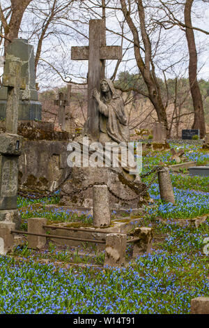 1860, sous le Second Empire, suite/Lithuania-April,Vilnius,11,2019 : bloom impressionnant de Scilla siberica dans une plus ancienne 19c. Cimetière Bernardinai à Vilnius. Scilla est première pla Banque D'Images