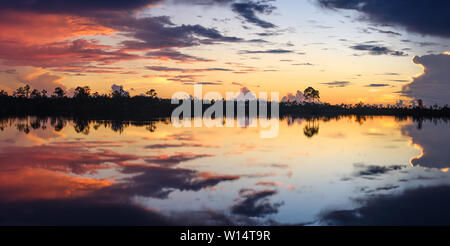 MIAMI, FLORIDE - circa 2018 SEPTEMBRE : Vue panoramique d'un coucher de soleil sur les Everglades de Floride près de Miami. Banque D'Images
