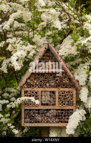 Insect house - hôtel dans un jardin de printemps Banque D'Images