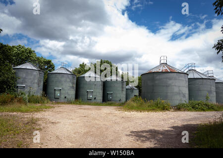 Une rangée de métal vert Silo de stockage de céréales sur les réservoirs d'un Rural Farm dans le Derbyshire UK Banque D'Images