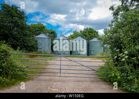 Une rangée de métal vert Silo de stockage de céréales sur les réservoirs d'un Rural Farm dans le Derbyshire UK Banque D'Images