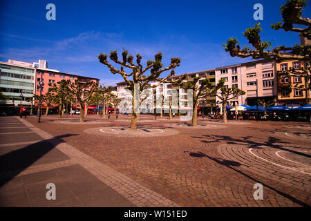 Pollarded platanes à Hauptwache Plaza à Francfort-sur-le-main, Allemagne Banque D'Images