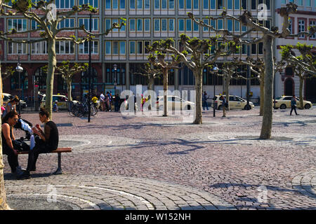 Pollarded platanes à Hauptwache Plaza à Francfort-sur-le-main, Allemagne Banque D'Images