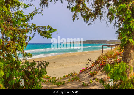 Les plus belles plages de sable de la côte d'Apulia.Salento: Baie d'Alimini, ITALIE (Lecce). La côte est caractérisée par des dunesavec des maquis méditerranéens. Banque D'Images