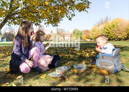 Portrait d'automne d'enfants ayant des boîtes à lunch, les sacs à dos de l'école. Cheerful écoliers mangent des fruits, à rire, à parler. Des aliments sains et en bonne santé lifesty Banque D'Images