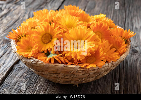 Calendula fleurs fraîches dans un panier Banque D'Images