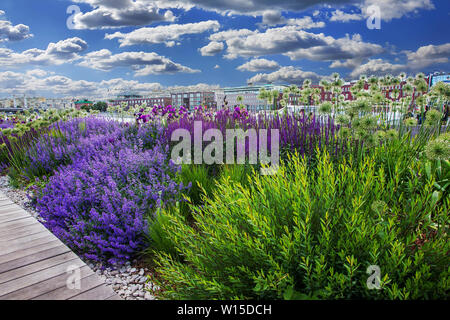 Belles fleurs dans le parc Muzeon . Krymskaya quai de la rivière de Moscou. Le centre-ville de Moscou Banque D'Images