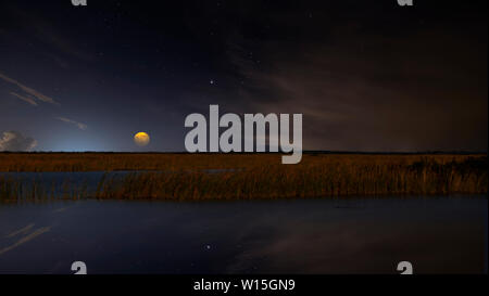 La pleine lune se lève au-dessus de l'sawgrass à Big Cypress National Preserve. Si vous regardez attentivement, vous verrez un alligator dans l'eau. Banque D'Images