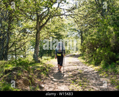 Pèlerin solitaire marche sac à dos avec le Chemin de Compostelle en Espagne, Chemin de Saint Jacques Banque D'Images